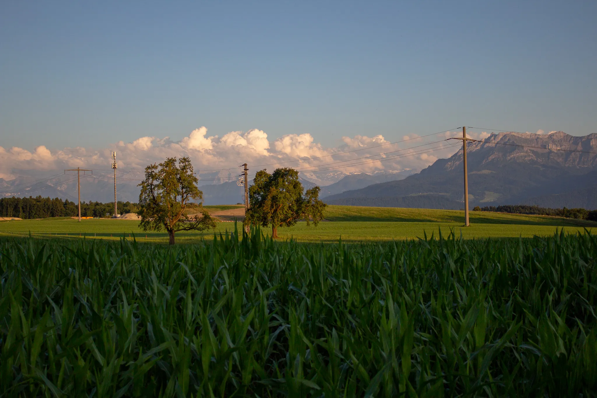 Unsere Fotos